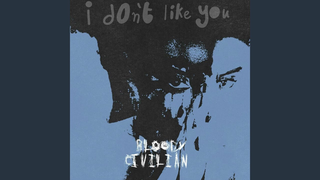 I Don't Like You
