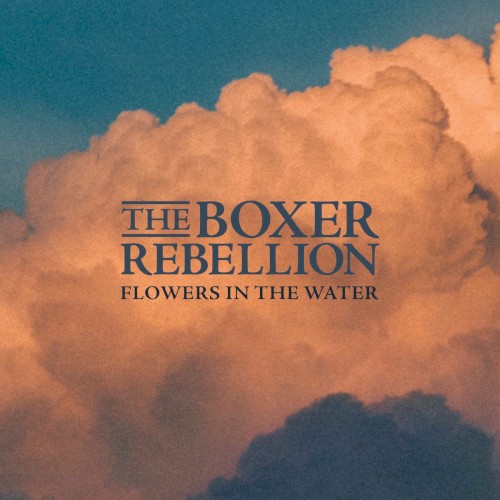 Flowers In The Water